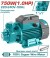 TOTAL BOMBA DE AGUA PERIFÉRICA 1,0HP 750W TWP17506 Total Herramientas Oficial
